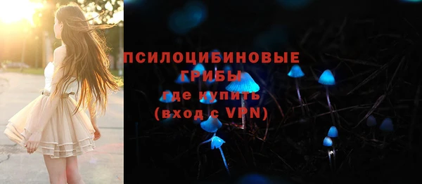 mix Богородск