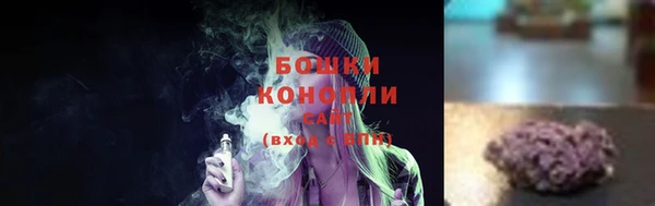 стафф Бородино