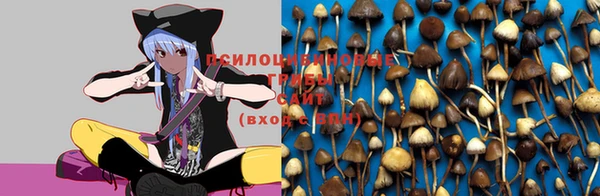 а пвп мука Балахна
