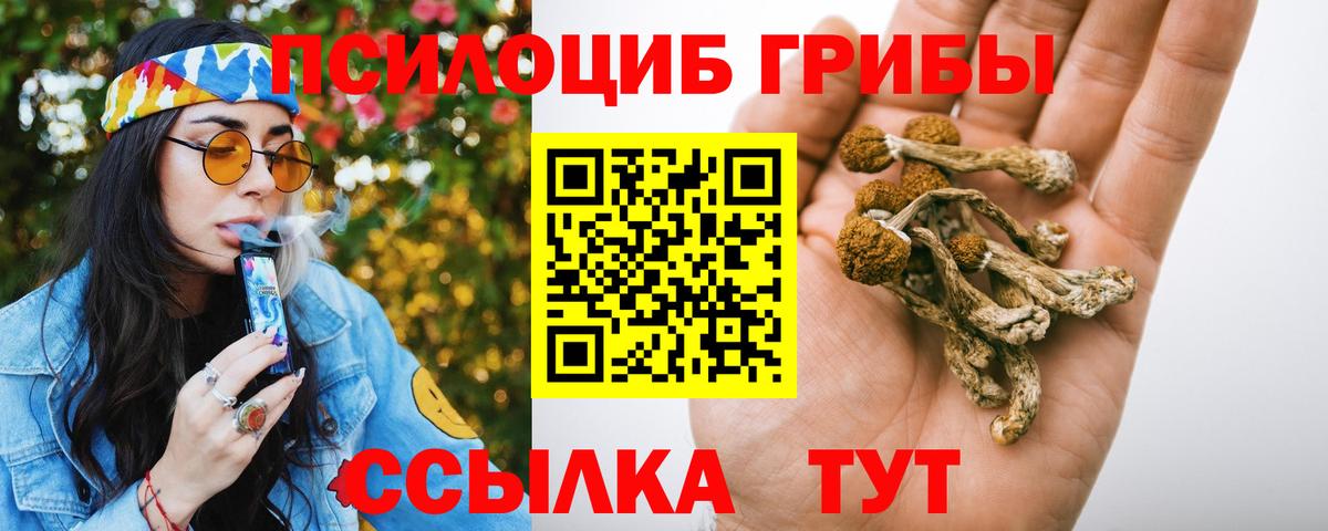 Псилоцибиновые грибы GOLDEN TEACHER  Вход с VPN  Гудермес  Галлюциногенные грибы ЛСД 