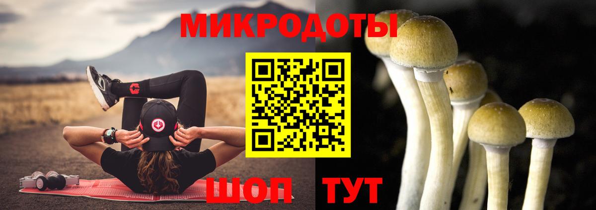 Псилоцибиновые грибы MAGIC MUSHROOMS Гудермес