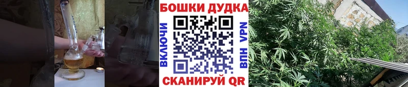 даркнет наркотические препараты купить закладку Гудермес МАРИХУАНА марихуана