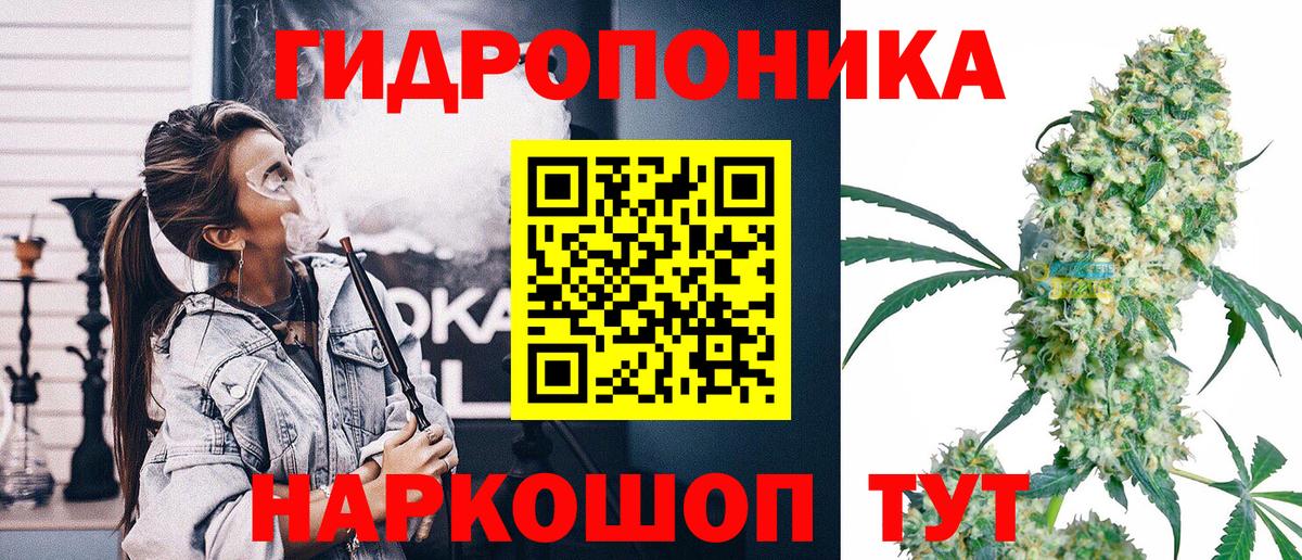 Каннабис семена  Вход с VPN  Бошки Шишки SATIVA & INDICA  Каннабис сатива  Гудермес 